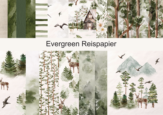 Reispapier Evergreen